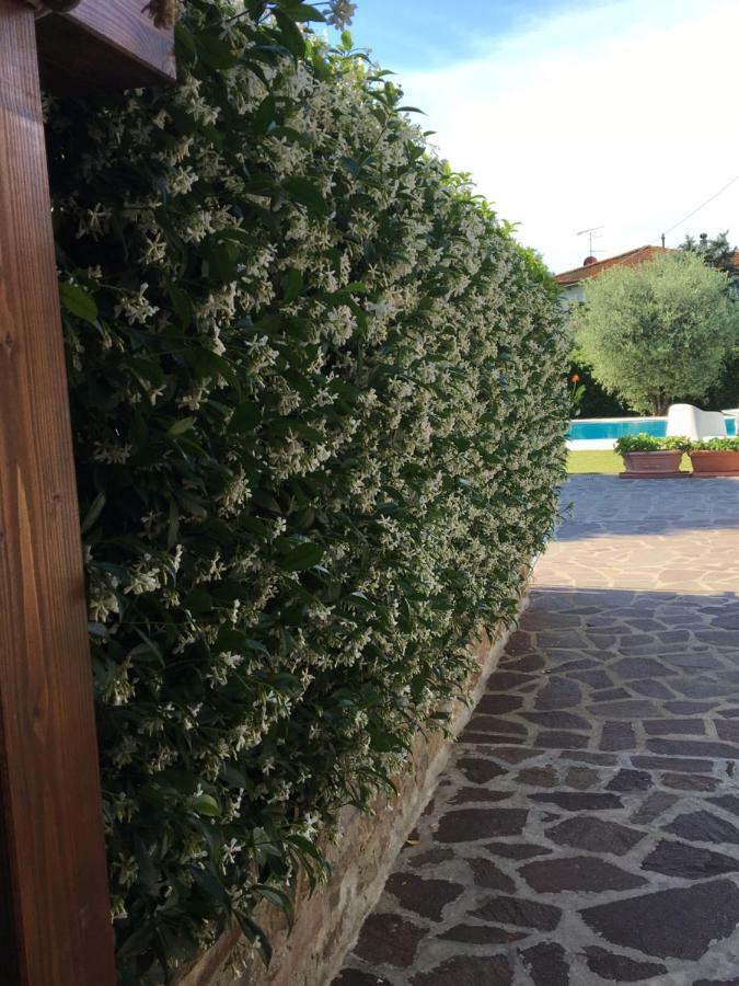 Casa Pietra Del Sole Βίλα Λούκα Εξωτερικό φωτογραφία